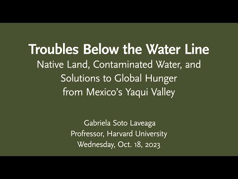 Native Land, Contaminated Water, and Solutions to Global Hunger from Mexico’s Yaqui Valley