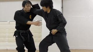 戸隠流忍法 其の二 Togakure-ryu Ninpo Basic 忍術 Ninjustu Ninja