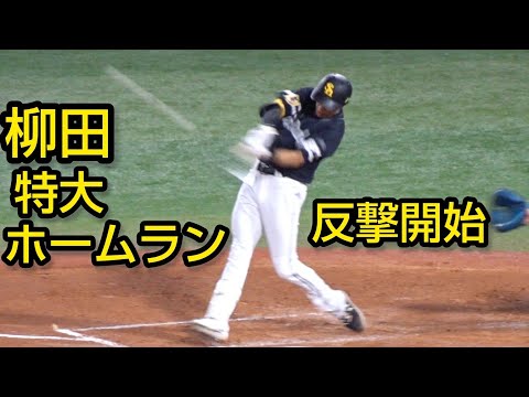 柳田悠岐、反撃の特大2ランホームランを放つ2024.11.3