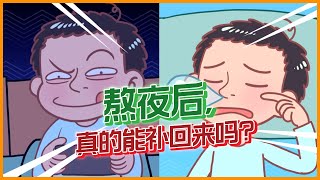 健康冷知识 【熬夜后真的能补回来吗】