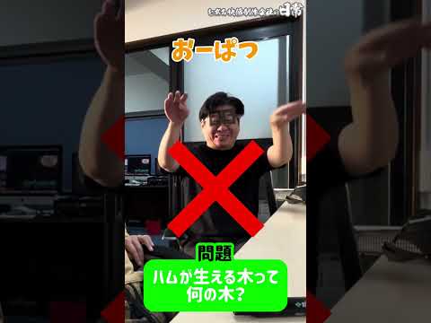 【罰ゲームあり】要さんと４号のヒゲをかけたクイズ対決【決着】