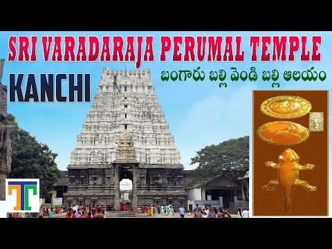 Sri Varadharaja Perumal Temple Kanchi Full Video In Telugu | Suman Telugu Traveller