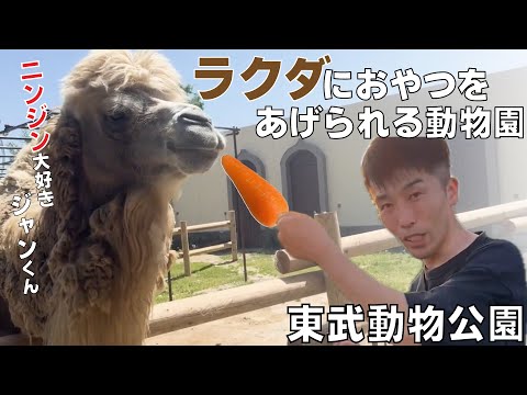 貴重体験‼︎ラクダにおやつをあげる⁉︎歌を歌う猿も出現⁉︎【東武動物公園③】