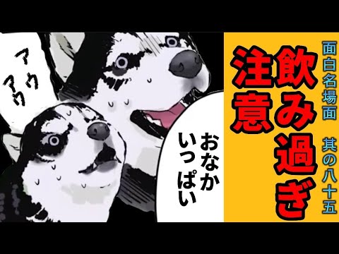 【世界の終わりに柴犬と】切り抜き編集 # 85《三度登場 泉の女神。》  #世界の終わりに柴犬と  #アニメ #柴犬