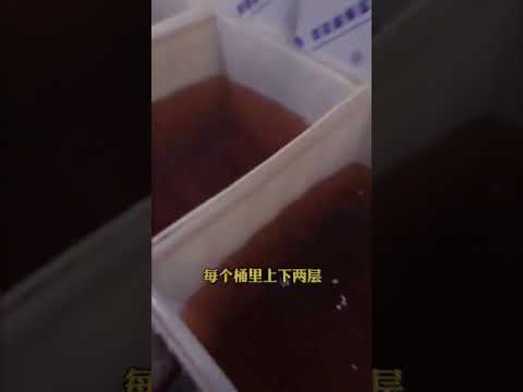 中华民族伟大复兴的美食  #中国文化 #中国特色