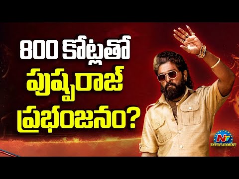 Pushpa 2 Massive Collection in Hindi..! | Allu Arjun | Sukumar | NTV ENT