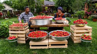 🍓 From Field to Oven: Picking, Drying, and Baking Strawberries