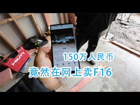 这个F16竟然只要1500000元（新西兰 Harold Vlog 860）