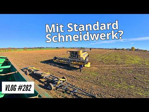 Vlog #282 Sonnenblumen mit normalen Schneidwerk dreschen????