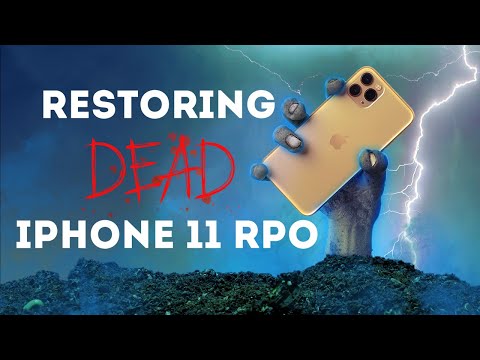 I bought $235 dead iPhone 11 Pro. Was restoring this iPhone worth the price ?