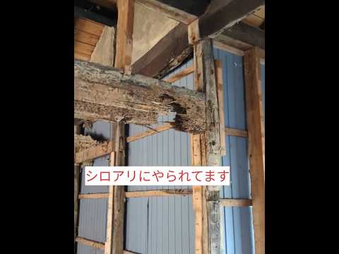 【解体工事】の一部作業にアルバイト💦