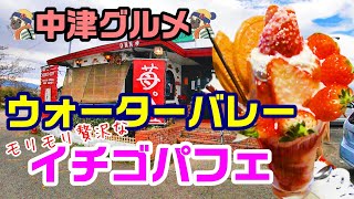 【中津市】ウォーターバレー の超大盛りイチゴパフェ！人気老舗喫茶店の絶品スイーツ