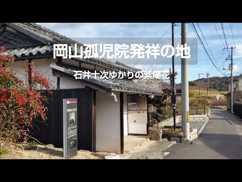 岡山孤児院発祥の地 石井十次ゆかりの紫陽花 #岡山