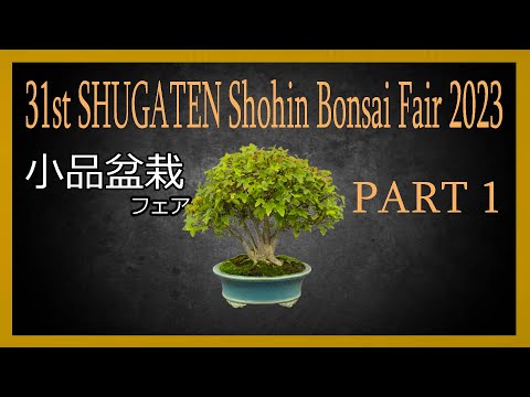 31st SHUGATEN Shohin bonsai Fair 2023 - 31回秋雅展2023 小品盆栽フェア (PART 1)