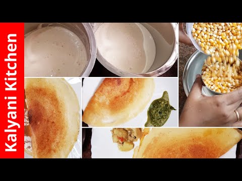 மக்காச்சோள தோசை மாவு | Corn Dosai Batter Recipe | Makkacholam dosai maavu | Kalyani Kitchen#61