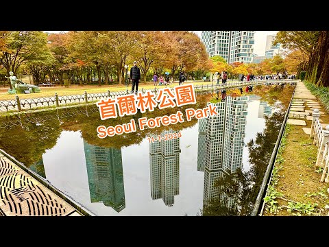 首爾林公園 / Seoul Forest Park on 11-1-2024 ( Day 9 - B )