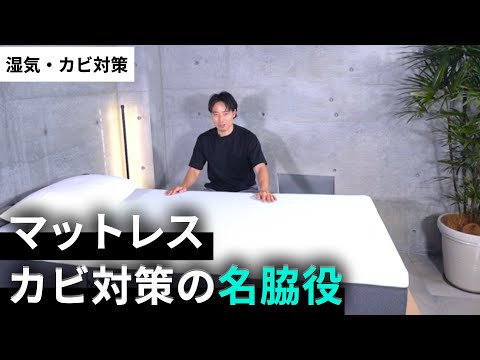 【カビ対策】マットレス下の除湿シート｜正しい使い方とおすすめ３選