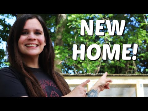 From Raw Materials to Cozy Home | DIY | Shed To Cabin