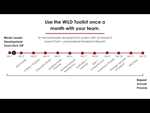 Using the WiLD Toolkit with your Team