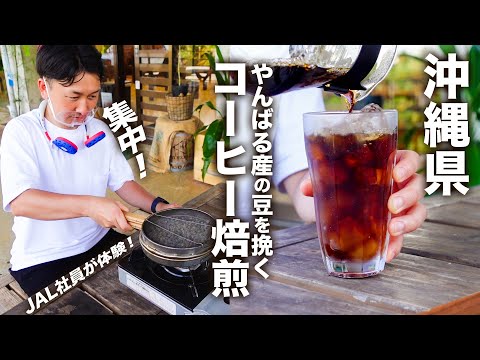 知らなかった！100%沖縄産コーヒーがやんばるの森に!! JAL社員レポ