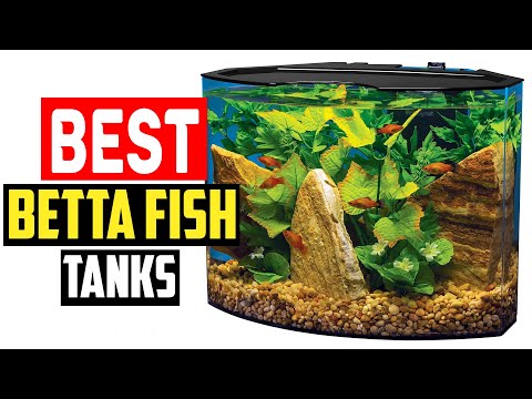 ✅Best Betta Fish Tanks in 2023