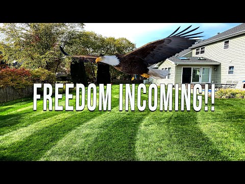 New Freedom Fertilizer  | Freedom on July 4th  Yard Mastery