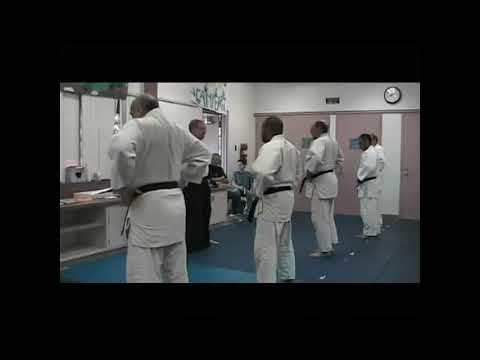 Budoshin Jujitsu: Nerve Seminar 2001 Pt. 1