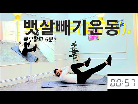 뱃살빼는법 , abs workout  5min