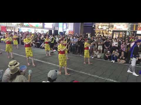 【2024/7/27】4K　新宿エイサーまつり　2024　４　東京中野区新風エイサー ｜ ARAKAJIEISA【ゴジラロード】