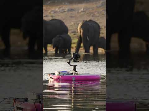 Floaty McFloatface: a DIY Inflatable Remote-Controlled Wildlife Filming Boat #DIY #wildlife #filming