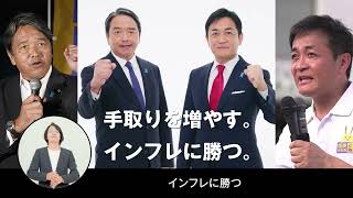 【衆院選2024】政見放送（本部提供部分）#手取りを増やす #国民民主党