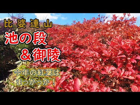 【比婆連山】池の段＆御陵・今年の紅葉は真っ赤っか