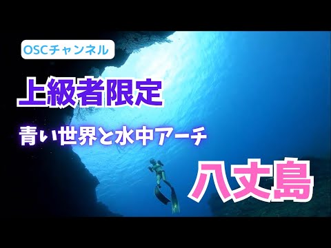 上級者限定！青い世界と水中アーチ！ウミガメを目の前で見れるビーチポイントでスキンダイビング！in 伊豆七島・八丈島