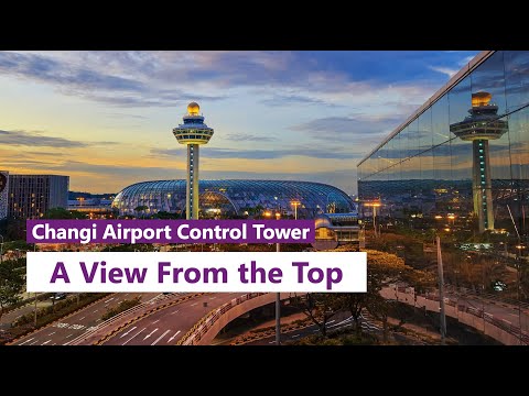 Changi Airport: A View From The Top