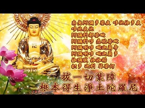 【往生淨土陀羅尼~🙏三回108遍★精進修行版】~🌸皈命阿彌陀如來🌸無量光🌸無量壽~~🌼真實求生極樂世界~🌼一切殊勝圓滿成就🙏🙏🙏