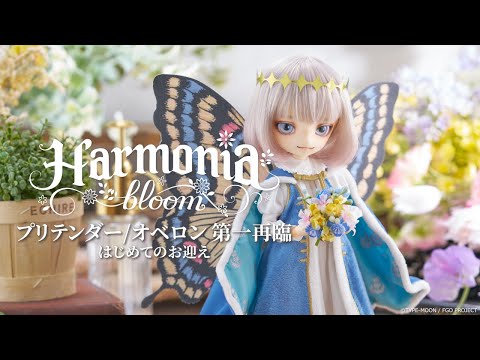 【開封～着せ付け】Harmonia bloom プリテンダー／オベロン 第一再臨 ～はじめてのお迎え～