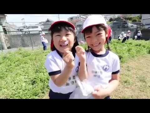 帝塚山幼稚園：れんげ摘み 楽しかったよ！