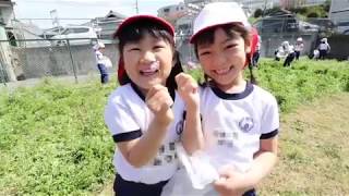 帝塚山幼稚園：れんげ摘み 楽しかったよ！