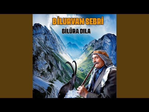 Bilura Düdük