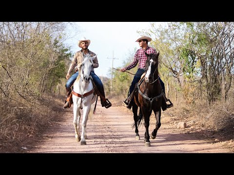 El Komander y  Panter Bélico - Me Quiero Casar (Video Oficial)