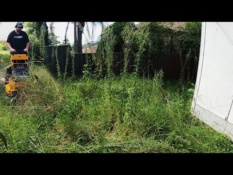 My Lawn Mower DESTROYED This TALL Overgrown Grass | SUPER Satisfying Lawn Transformation