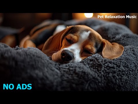 🐶Relaxing Music To Calm Pets 💛 MUSIC THERAPY Cats And Dogs For Relaxing Sleep