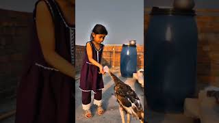 #handfeedingchicks #handfeeding #bigbirds #girl #cute #viral #famousshorts #trending #trendingalert