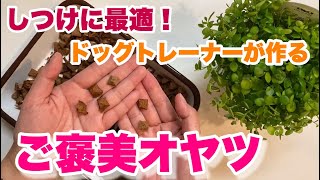 犬のしつけに最適！ドッグトレーナーが作るご褒美おやつの作り方