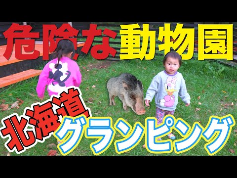 【ノースサファリサッポロ】日本で唯一！動物と泊まれるグランピングが北海道にある！