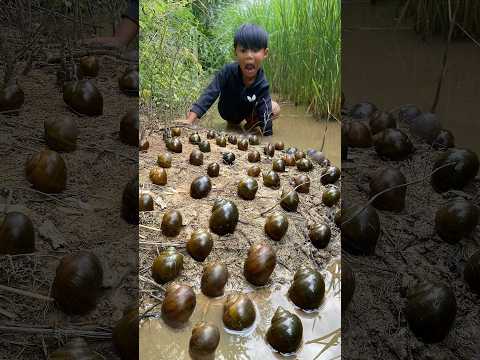 Survival Skills: SIMPLE and USEFUL with snails #bushcraft #camping #outdoors