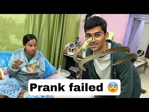 The prank failed 😨