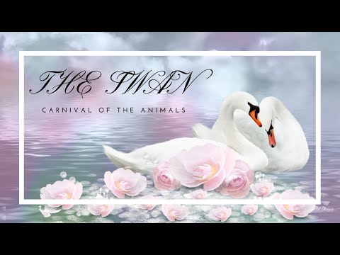 [1HR, Repeat] The Swan, Carnival of the Animals