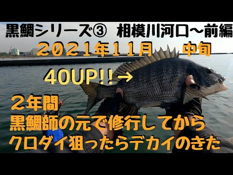 【黒鯛シリーズ③】チヌフカセ釣り!!40UP捕獲!!相模川河口にクロダイの数釣りに行ったらデカいの来た!!初心者も釣りがしやすい♡平塚新港のすぐ近くです♪