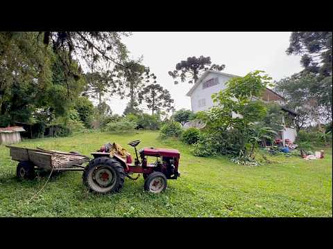 AGROFLORESTA LUCRATIVA - SITIO ELDORADO - TIJUCAS DO SUL - PARTE 2